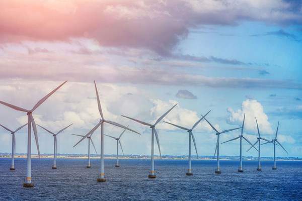 TDX CAMAU WIND POWER PROJECT â 2